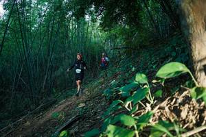 BIB: 
                            <button type="button" onclick="openModal(28124617)" class="btn btn-primary btn-sm float-right btn-popup" data-toggle="modal" data-target=".modal-high-quality">
                        <i class="fas fa-shopping-cart"></i> Add to Cart
                    </button>
                                            <button type="button" onclick="isThisMe(28124617, true)" class="btn btn-success btn-sm float-right btn-popup btn-isme hidden" data-toggle="tooltip" data-placement="bottom" title="นี่คือรูปของคุณใช่ไหม คลิกที่นี่เพื่อเอาเข้าอัลบั้ม">
                        <i class="fas fa-plus"></i> Add to album
                    </button>
                    <button type="button" onclick="isThisMe(28124617, false)" class="btn btn-warning btn-sm float-right btn-popup btn-isnotme hidden">
                        <i class="fas fa-ban"></i> Remove from album
                    </button>